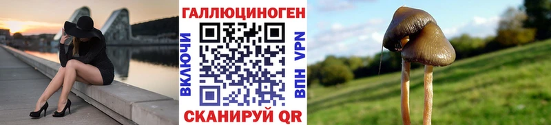 Галлюциногенные грибы Cubensis  Купить  Сретенск 